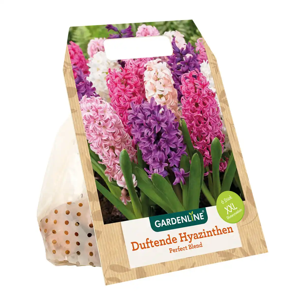Bild 3 von GARDENLINE XXL-Blumenzwiebeln