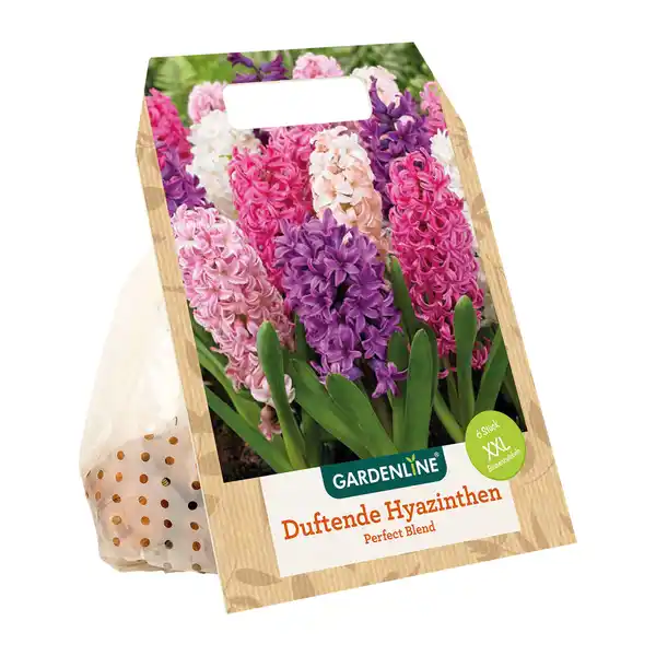 Bild 3 von GARDENLINE XXL-Blumenzwiebeln