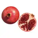 Bild 1 von Granatapfel