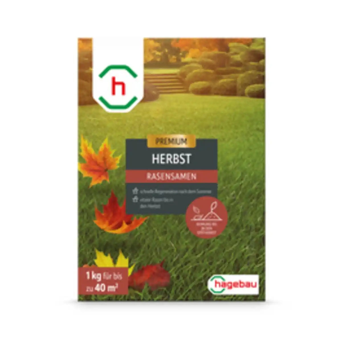 Bild 1 von h-Marke Rasen, Rasensamen Herbstrasen 1,0Kg Karton für 40 m2