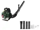 Bild 1 von PARKSIDE® Benzin-Laubbläser »PBRLB 52 A1«