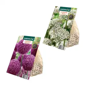 GARDENLINE Zierlauch-Blumenzwiebeln