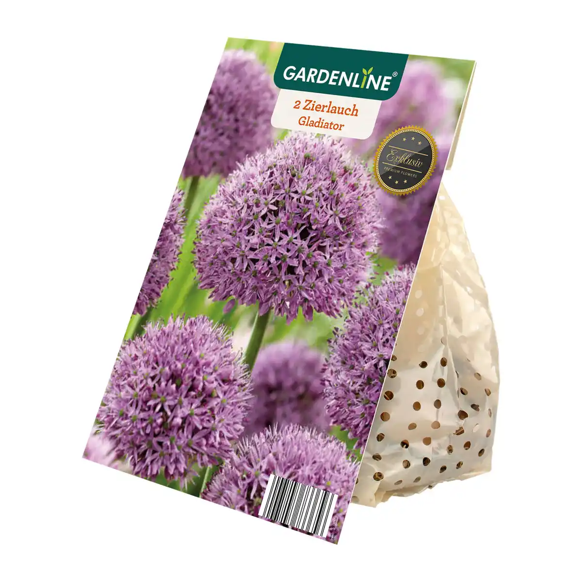 Bild 4 von GARDENLINE Zierlauch-Blumenzwiebeln