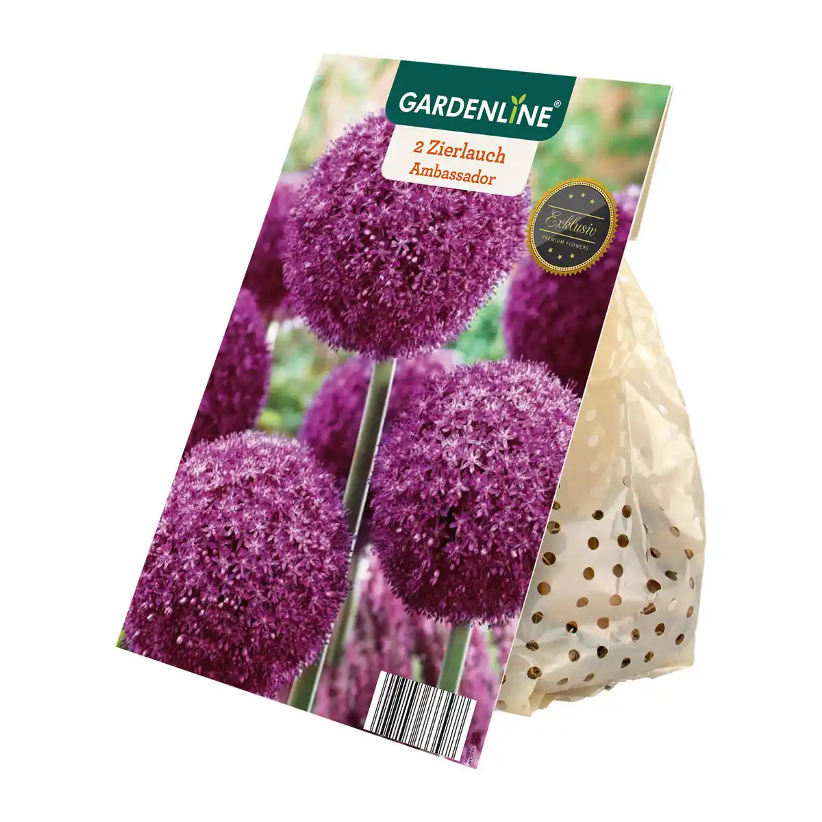 Bild 3 von GARDENLINE Zierlauch-Blumenzwiebeln