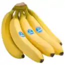 Bild 1 von Bananen
