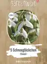 Bild 1 von GARTENWELT Schneeglöckchen