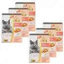 Bild 1 von CAT BONBON Feine Filets, Lachs & Hühnchen, 3 x 85 gr. - 6er Set