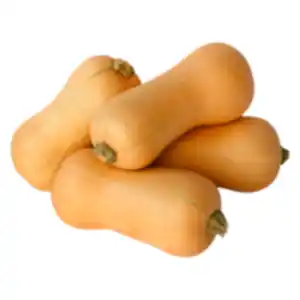 Bio Butternut Kürbis