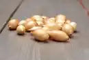 Bild 1 von Wintersteckzwiebel "Shakespeare" 250 g