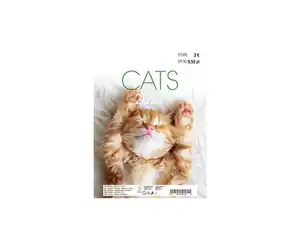 Bildkalender