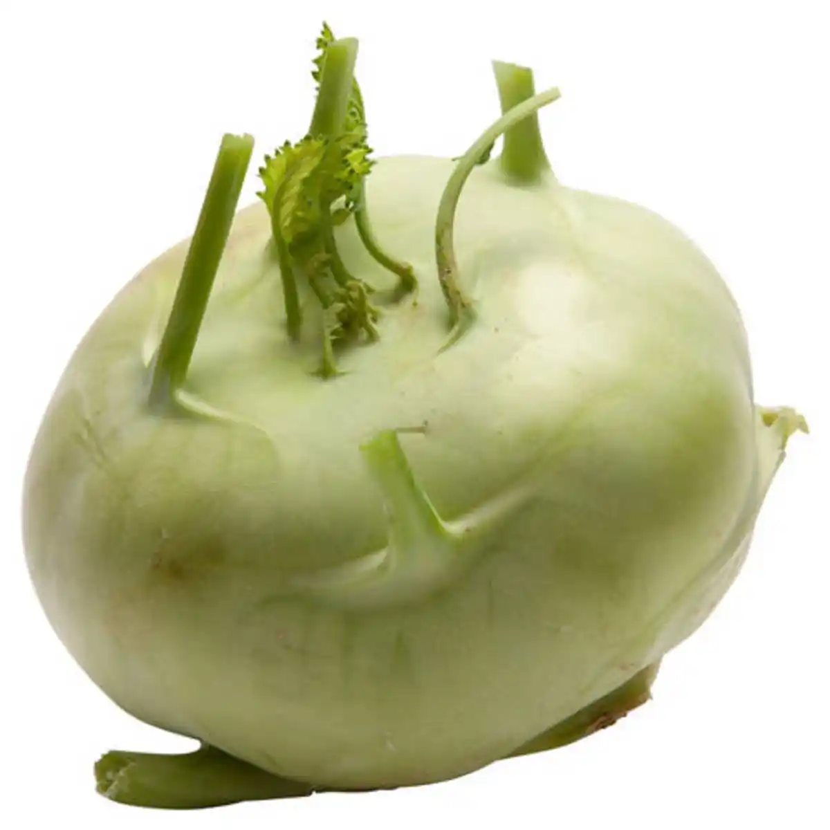Bild 1 von Kohlrabi