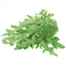 Bild 1 von Rucola