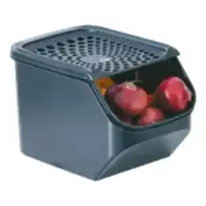 Tupperware Zwiebel-Vorratsbehälter