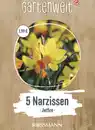 Bild 1 von GARTENWELT Narzissen cyclamineus Jetfire