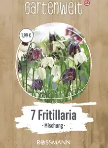 GARTENWELT Fritillaria Meleagris