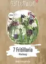 Bild 1 von GARTENWELT Fritillaria Meleagris