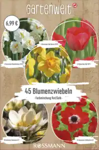 GARTENWELT Premium Box Bienen & Schmetterlinge Kollektion Rot/Gelb