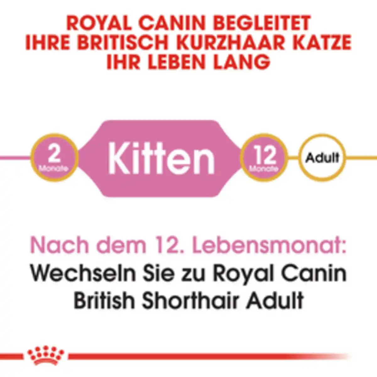 Bild 2 von ROYAL CANIN Trockenfutter »FBN British Shorthair«, 2 kg