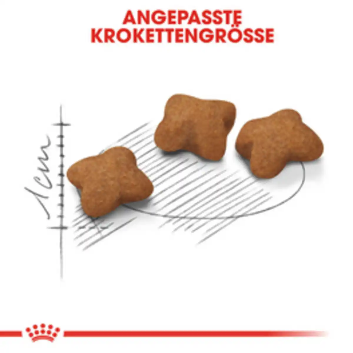 Bild 4 von ROYAL CANIN Trockenfutter »FHN Kitten Sterilised«, 2 kg