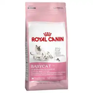 ROYAL CANIN Katzentrockenfutter, 2 kg
