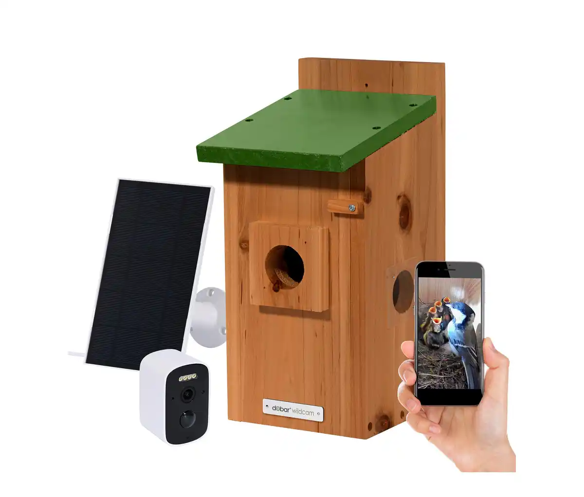 Bild 1 von Dobar Solar-Nistkasten mit Kamera