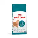 Bild 1 von ROYAL CANIN Katzentrockenfutter »Feline Health Nutrition«, Ageing Sterilised 11+, 2 kg