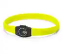 Bild 1 von Hunde-LED-Leucht-Halsband