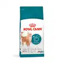Bild 1 von ROYAL CANIN Katzentrockenfutter »Feline Health Nutrition«, Ageing 15+, 2 kg