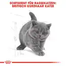Bild 3 von ROYAL CANIN Trockenfutter »FBN British Shorthair«, 2 kg