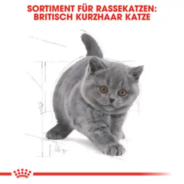 Bild 3 von ROYAL CANIN Trockenfutter »FBN British Shorthair«, 2 kg