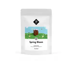 19grams - Spring Bloom Filterkaffee - 250 g Ganze Bohne