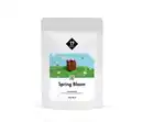 Bild 1 von 19grams - Spring Bloom Filterkaffee - 250 g Ganze Bohne