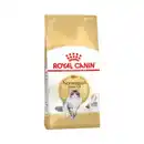 Bild 1 von ROYAL CANIN Katzentrockenfutter »Feline Breed Nutrition«, Norwegische Waldkatze Adult, 2 kg