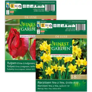 Finest Garden Herbstblumen "De Luxe"