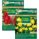 Bild 1 von Finest Garden Herbstblumen "De Luxe"