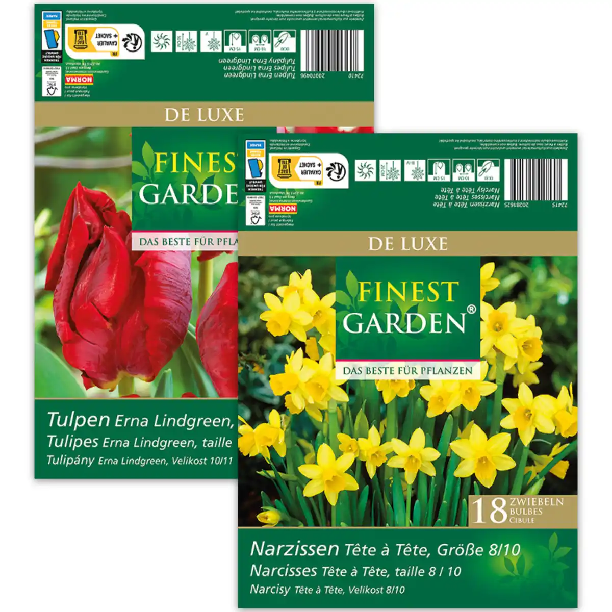 Bild 1 von Finest Garden Herbstblumen "De Luxe"