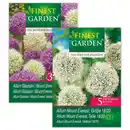 Bild 1 von Finest Garden Allium