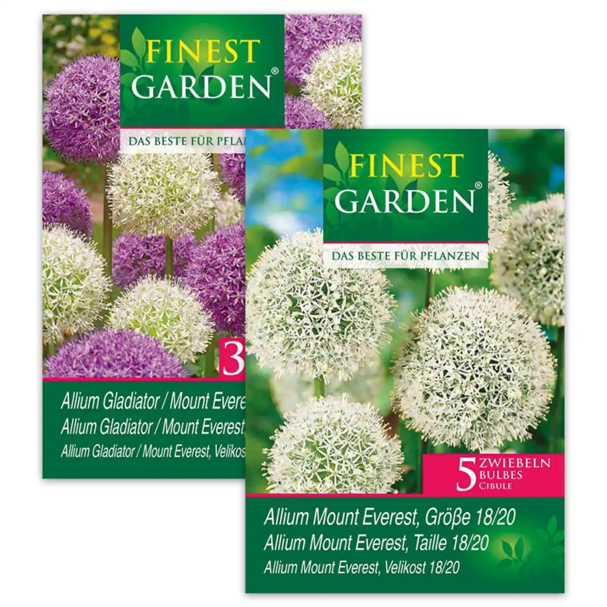 Bild 1 von Finest Garden Allium