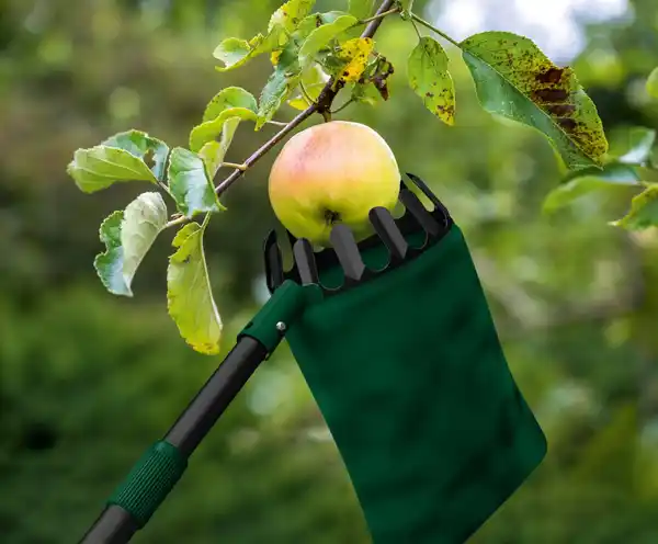 Bild 3 von PARKSIDE® Teleskop-Obstpflücker
