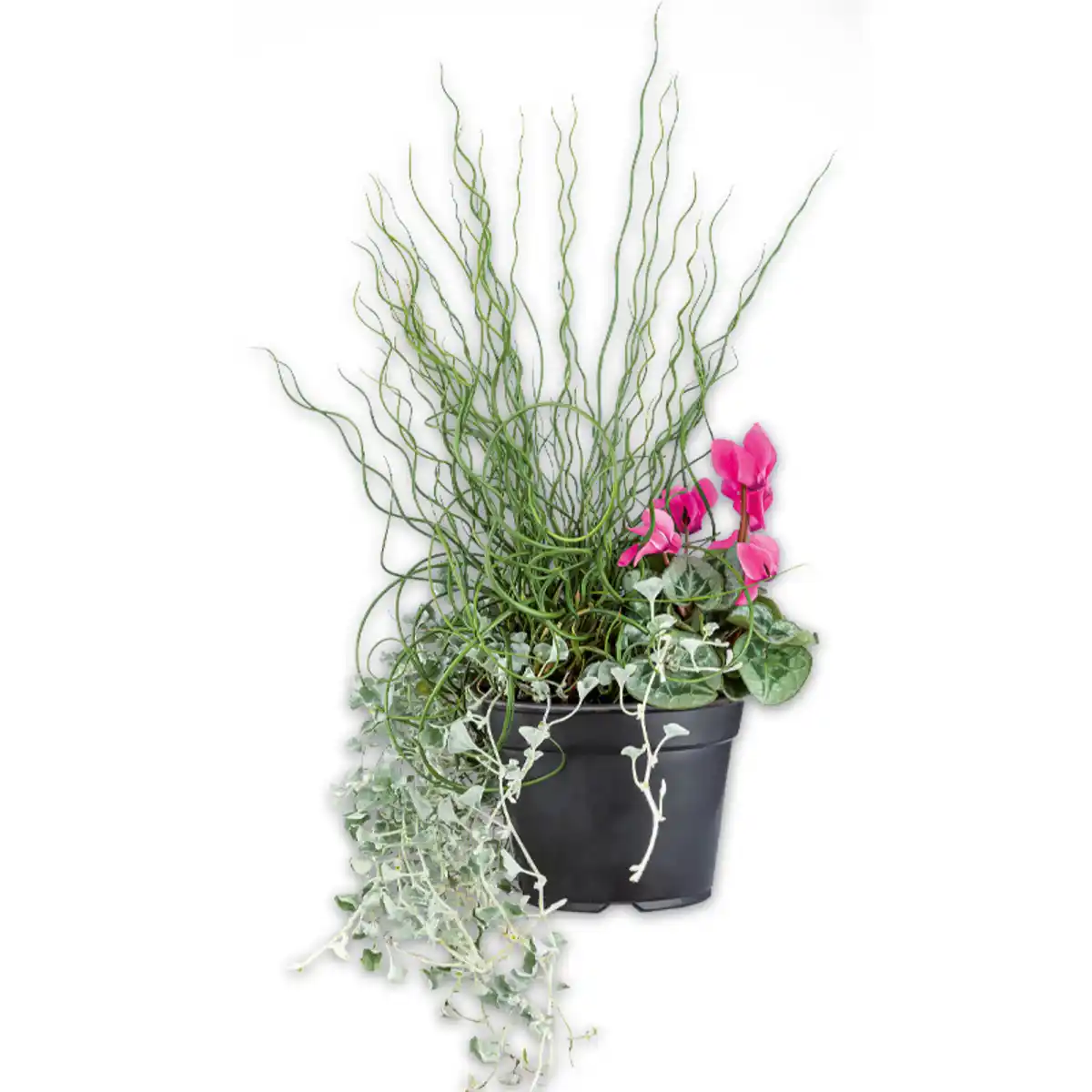 Bild 1 von Herbst Hexe Trio