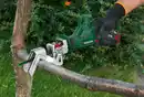Bild 2 von PARKSIDE® Akku-Astsäge 12 V »PAAS 12 C3« mit Akku
