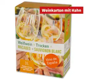 Spanien Macabeo Sauvignon Blanc Vino de España*
