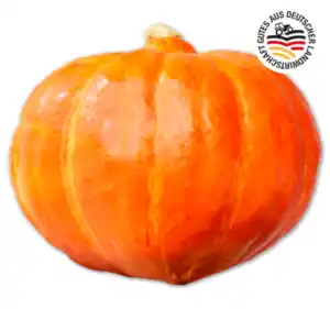 Deutscher Hokkaido Kürbis*