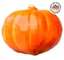 Bild 1 von Deutscher Hokkaido Kürbis*
