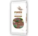 Bild 1 von Piniendekor