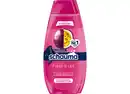 Bild 1 von Schauma Shampoo Fresh it Up