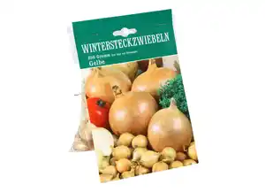 Wintersteckzwiebeln "Presto" gelb