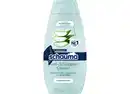 Bild 1 von Schauma Shampoo Anti Schuppen Classic