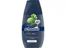 Bild 1 von Schauma Shampoo Men