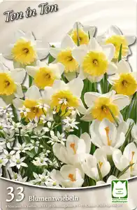 Herbst-Blumenzwiebeln-Mix versch. Sorten